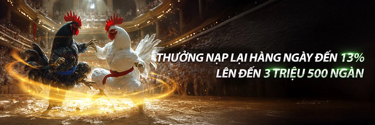 Hình ảnh quảng cáo khuyến mãi to888 nhà cái