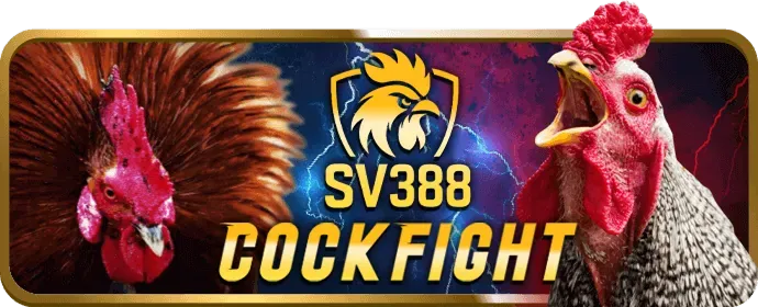 Bắn cá to888 nhà cái